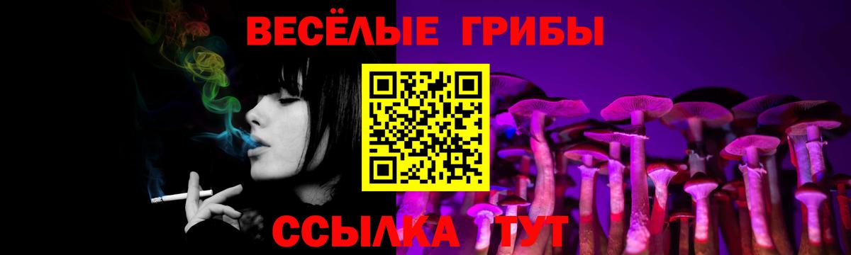 Бахчисарай  Галлюциногенные грибы GOLDEN TEACHER  Вход с VPN 